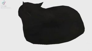 Черный Мемный Кот Крутится и Рыгает Жостка 31секунду