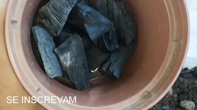 #SUBSTRATO TOP PARA SUCULENTAS E CACTOS SEM AREIA E SOLTINHO SEGREDO REVELADO смотреть онлайн