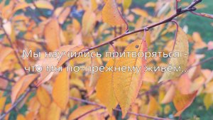 Мы научились притворяться - что мы по-прежнему живём... Олег Нечаянный.