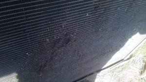 замена помпы , термостата, вязкомуфты на скания 4