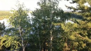 Парк каменных скульптур, Кушнаренково, Республика Башкортостан