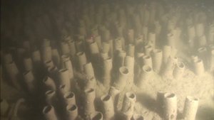 Арктическая экспедиция (Чукотское море)