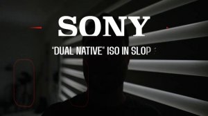What is FLEXIBLE ISO? Slog3 on the SONY ZV-E1