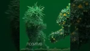 Позитив!