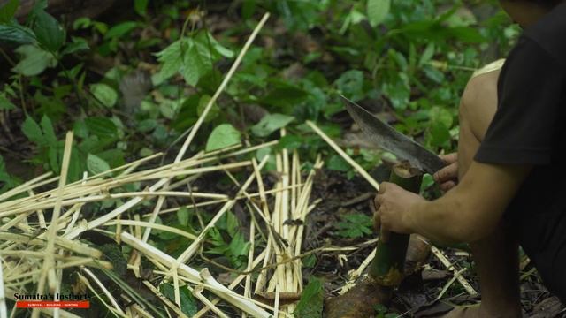 Make Fish Trap and Catch Fish ? | Sumatra's Instincts смотреть онлайн