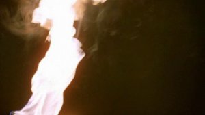 Prehistoric park.2iz6.A Mammoth Undertaking.DVDRip.Xvid