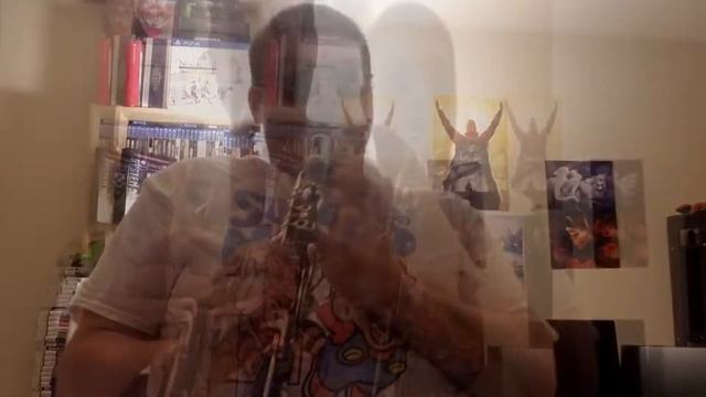 Super Mario Bros. 3 - Hammer Bros. (Woodwind Cover) смотреть онлайн