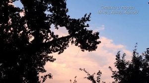 ЗВОНИТЕ ПАПЕ С МАМОЙ! Очень СИЛЬНЫЙ Стих про Родителей До Слез! Чтец Анна Холод