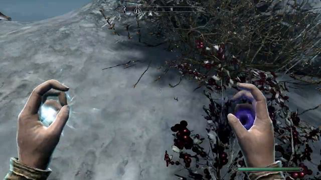 The Elder Scrolls V Skyrim Anniversary Edition by Igruha 9