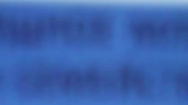 Хищное млекопитающее семейства Куньих. 05.03.2018 смотреть онлайн