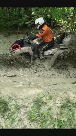 Segway Snarler не для грязи #shorts