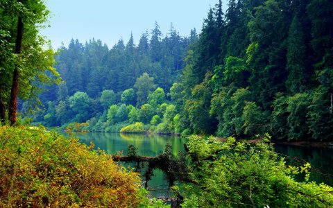 Лес в станице гостагаевская, сот черемушки, анапа, черное море