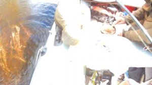 Водлозеро Рыбалка в Карелии  реднеки отдыхают 18+