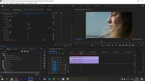 Как сделать Echo Effect в Premiere Pro