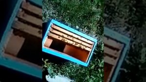 6 рамочный улей ППС Делаю отводок