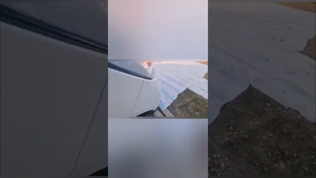 SsangYong rexton g4 сравнение двух автомобилей с сайта Энкар. смотреть онлайн