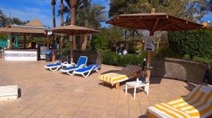 GOLDEN BEACH RESORT 4* HURGADA В шоке от отеля. Хочу сюда и надолго.Часть 1 Номер, обед, территория