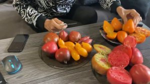 Томаты В.Г.Алифирова.Урожайные помидоры .В разрезе.#алифиров #вкусно