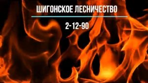 Правила поведения при пожаре в лесу