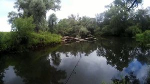 А РЫБА ГДЕ???