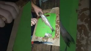 Разделка Судака, Берша и Окуня. На котлеты.