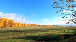 Охота на лося загоном