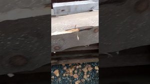 почему нужно убирать обзол