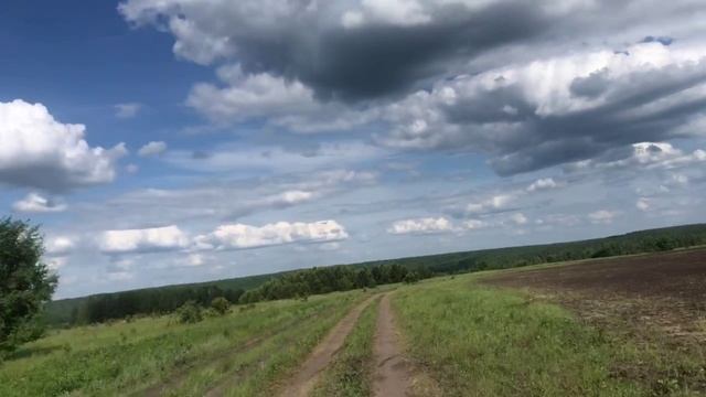 Жёлтая курица (сказка с глубоким смыслом) смотреть онлайн