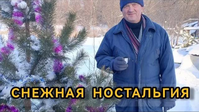 Снежная ностальгия. Дача. 1 серия. Февраль 2024