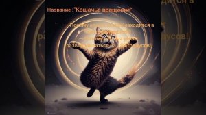 Анекдот : "Кошачье вращение" #анекдот #рекомендации