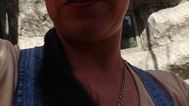 милые обезьянки Гиббоны - Бахчисарайский парк миниатюр смотреть онлайн