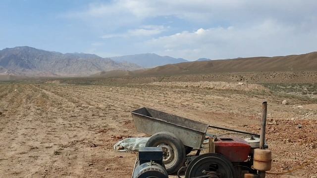 Uzbekistan 200 гектар ЛАВАНДЫ    НАМАНГАНСКАЯ ОБЛАСТЬ Папский район Чоркесор