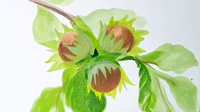 Три орешка. Рисунок гуашью с использованием кисти-губки. смотреть онлайн