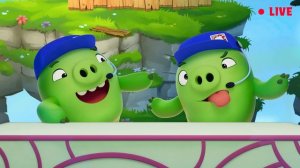 Angry Birds MakerSpace Season 2 Compilation | Ep. 6 to 10