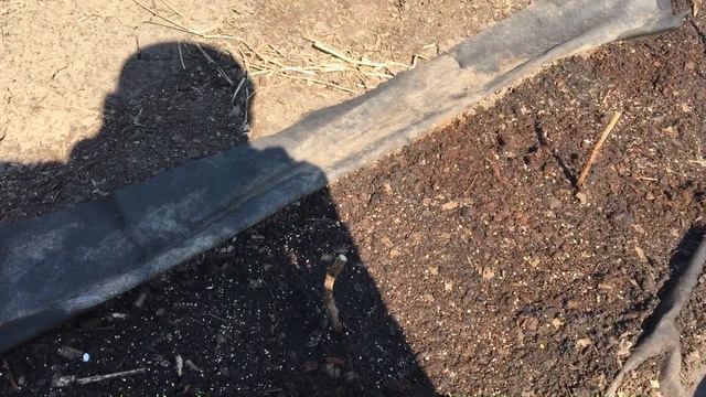 Как начать ягодный бизнес с 0 смотреть онлайн