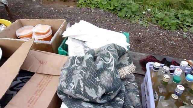 Омуль Байкала