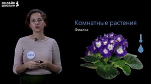 Видеоурок 4. Декоративные и комнатные растения. Окружающий мир 1 класс