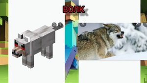 MINECRAFT IN REAL LIFE | МАЙНКРАФТ В РЕАЛЬНОЙ ЖИЗНИ (персонажи)
