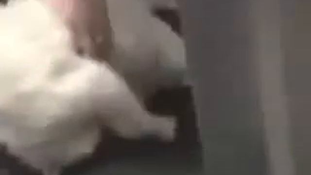 Неспортивное поведение Unsportsmanlike conduct смотреть онлайн