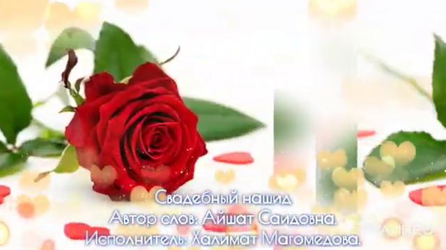 Насих1ат  для невесты