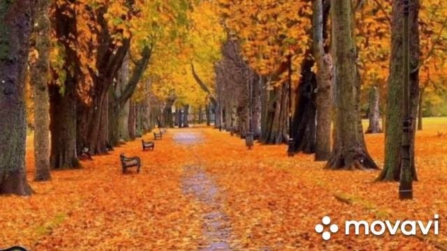 Осень. Осенняя пора,очей очарование!!!