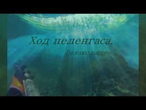 Ход пеленгаса