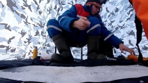 Ловля карася со льда в глухозимье. Карась зимой на червя