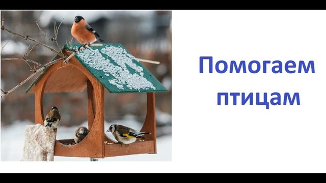 Чем кормят птиц/Охрана природы зимой №3 (Окр.мир 2 класс Перспектива) смотреть онлайн