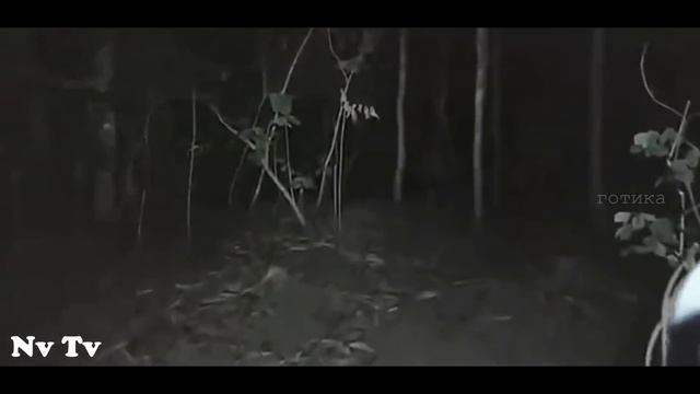 ЖУТКИЙ ЧЁРТ СНЯТЫЙ НА КАМЕРУ (Реальные видео о снежном человеке)