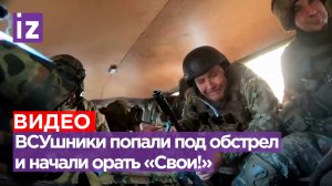 «Свои! »: ВСУшники сами не поняли, под чей обстрел угодили / Известия
