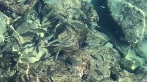 Duja Bodrum By La Blanche 0+