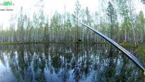 Вечерняя рыбалка на болоте 13.05.2020.