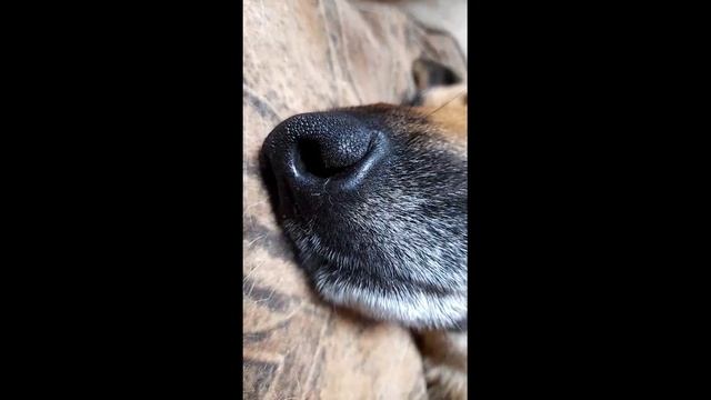 Кузькина мать!!! смотреть онлайн