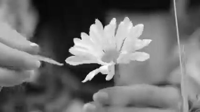 Есть на свете пути не грешимые - золотые пути.. смотреть онлайн